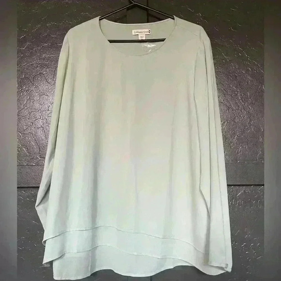 Coldwater Creek NWOT  Flowy Long Sleeve Mint  Blouse Size XL - Picture 1 of 9